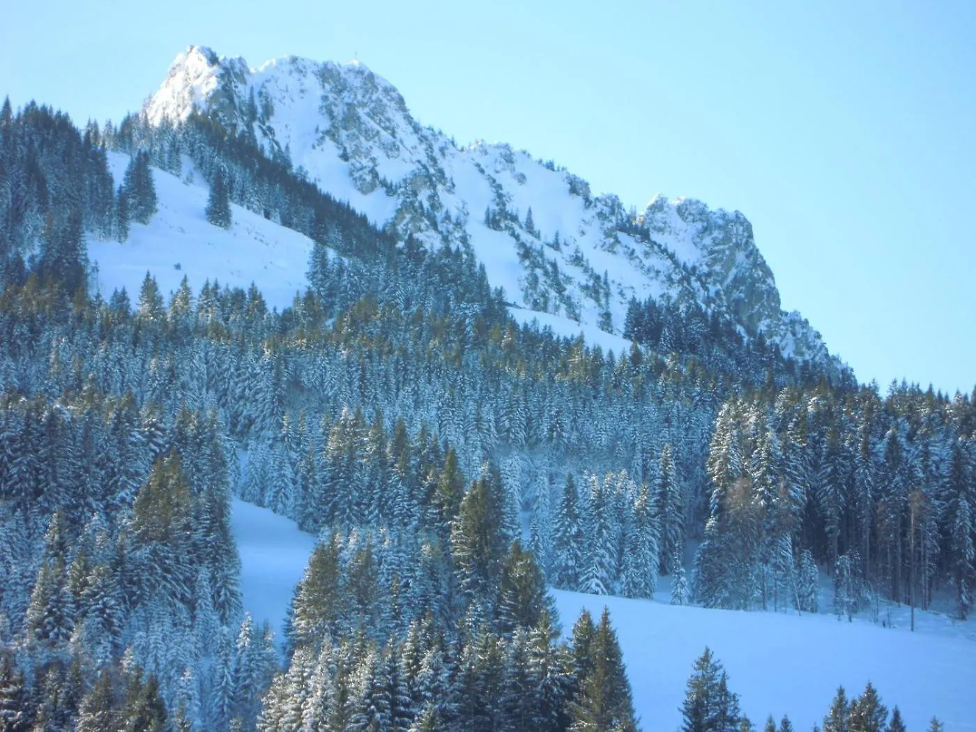 Appartement Fewo Alpenflair Wertach