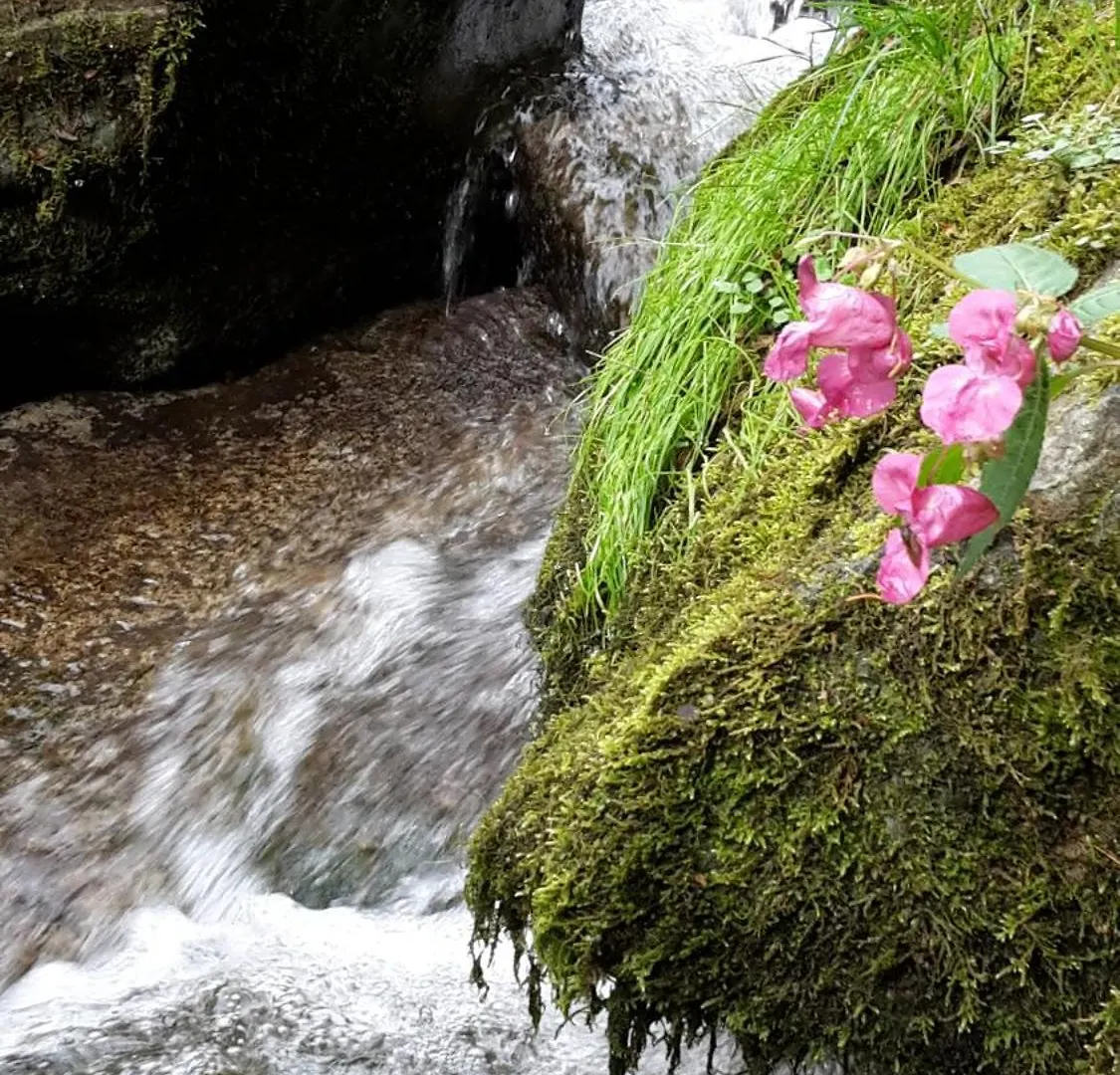 Fewo Alpenflair Wertach
